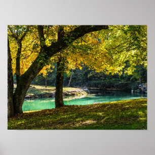 Póster Un Lugar Bajo El Árbol De La Sombra