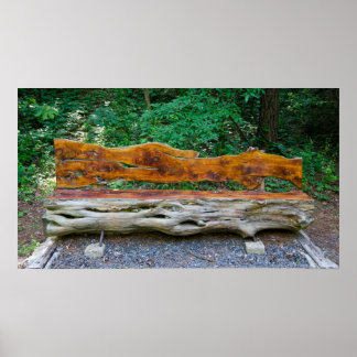 Póster Un lugar para descansar dentro del Poster forestal