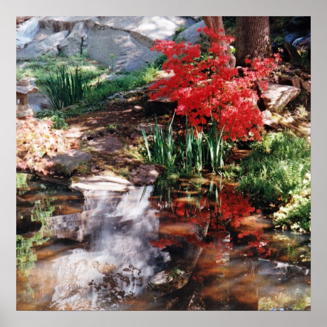 Póster Un lugar sanador (Frente)