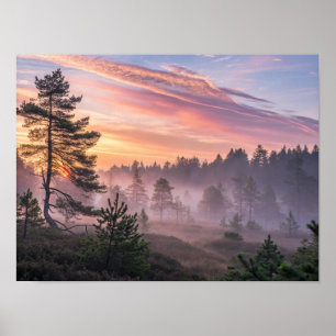 Póster Un majestuoso bosque boreal al amanecer con mañana