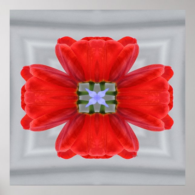 Póster Un momento...... (Frente)