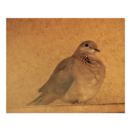 Póster Un momento inocente