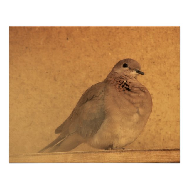 Póster Un momento inocente (Anverso)