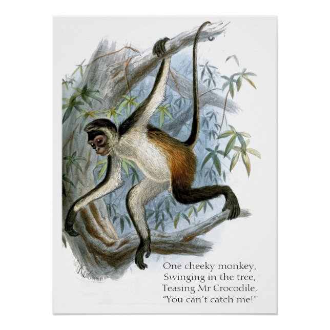 Póster Un mono Cheeky CC0365 para niños (Anverso)