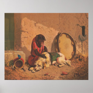 Póster Un Mono Y Un Perro Con Un Gran Panorama