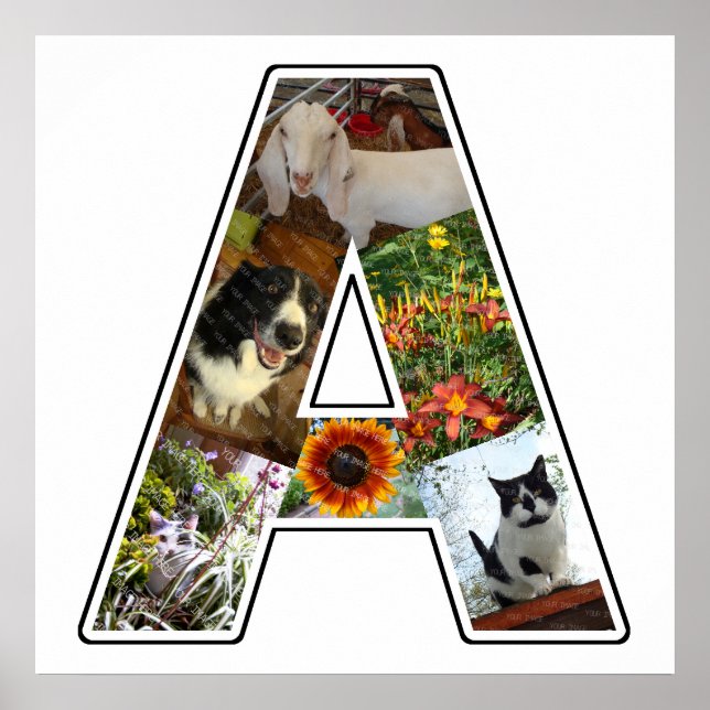 Póster Un monograma crea su propio Collage de fotos de 6  (Frente)