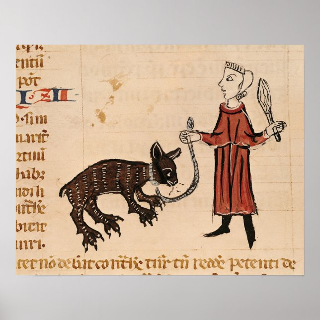 Póster Un observador, de 'Decrets de Gratien' (Frente)