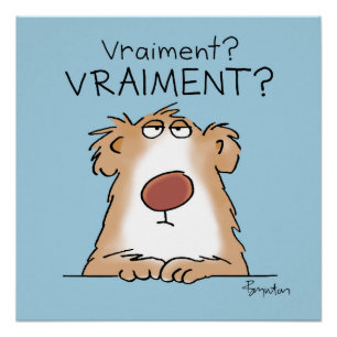 Póster Un ours vraiment incrédule