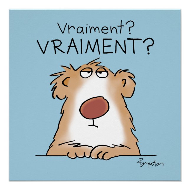 Póster Un ours vraiment incrédule (Anverso)