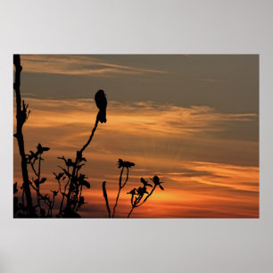 Póster un pájaro en el árbol en la puesta del sol