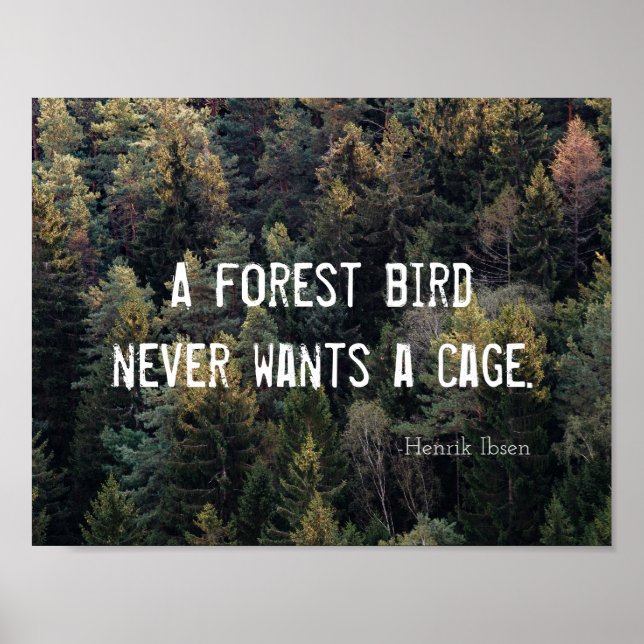 Póster Un pájaro forestal nunca quiere un diseño de jaula (Frente)