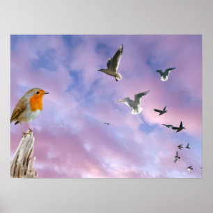 Póster Un pájaro mira la bella puesta de sol del cielo y 