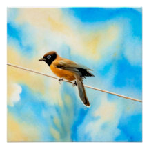 Un pájaro solitario y colorido