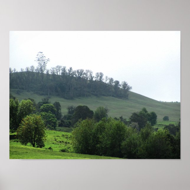 Póster Un parche brillante Upcountry (Frente)