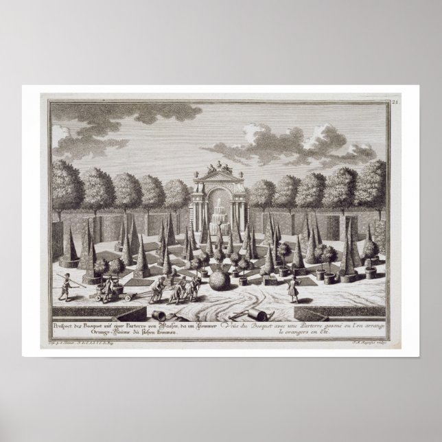 Póster Un parterre con árboles naranjas en el jardín del (Frente)