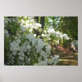 Póster Un paseo de primavera