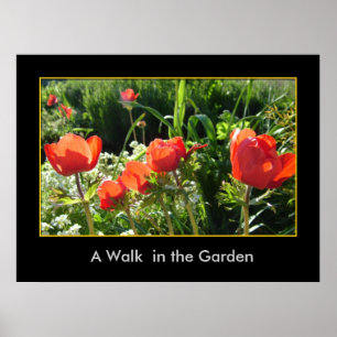 Póster Un paseo en el jardín