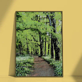 Póster Un paseo por el bosque