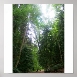 Póster Un Paseo Por El Bosque