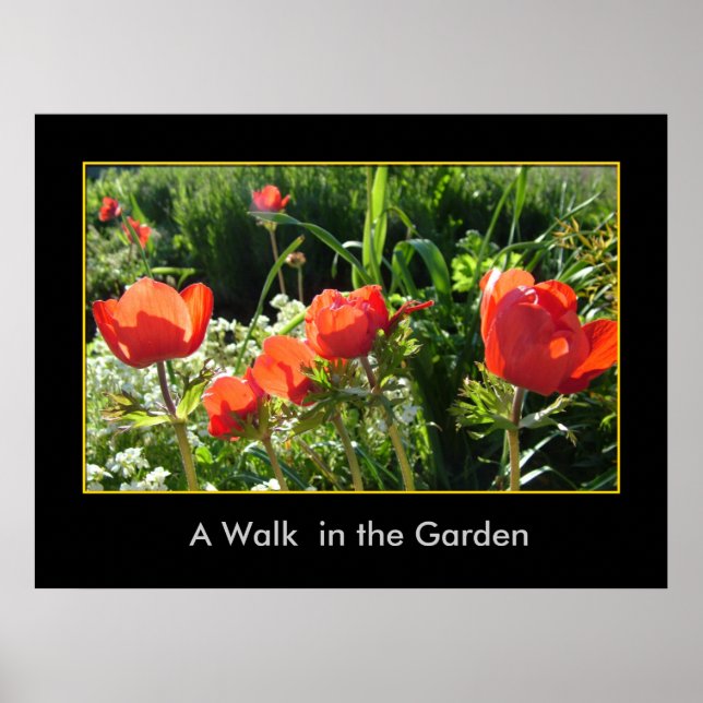 Póster Un paseo por el jardín (Frente)
