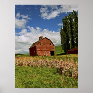 Póster Un paseo por el país agrícola de Palouse