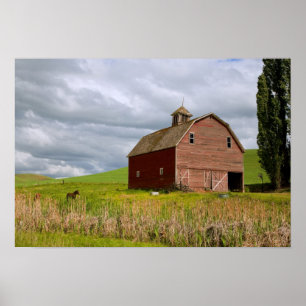 Póster Un paseo por el país agrícola de Palouse 4