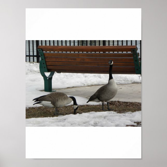 Póster Un paseo por el parque (Frente)