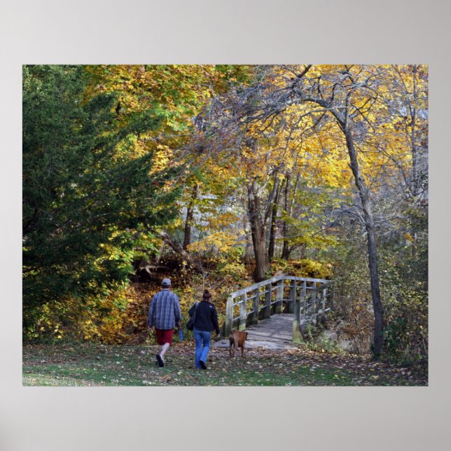 Póster Un Paseo Por El Parque (Frente)