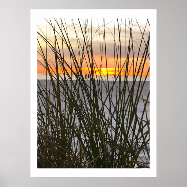 Póster Un Paseo Por La Playa (Frente)