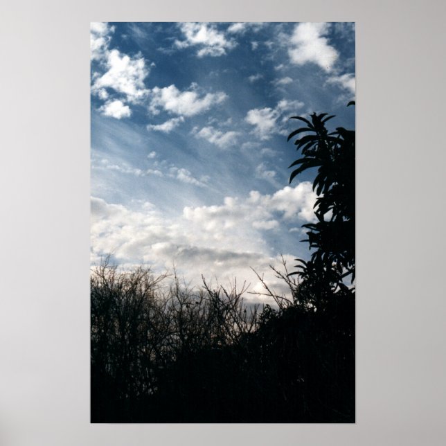 Póster un patio trasero nublado (Frente)