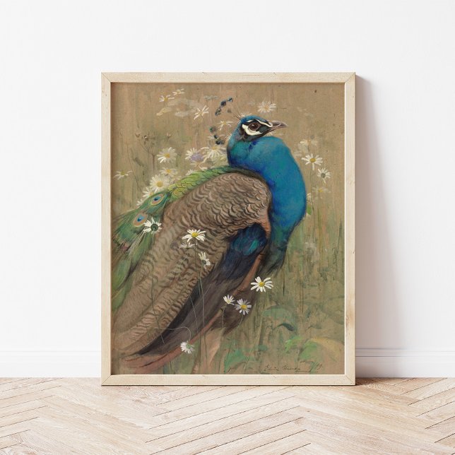 Póster Un pavo real y margueritas | Edwin John Alexander (Subido por el creador)