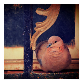 Póster Un Pequeño Salto