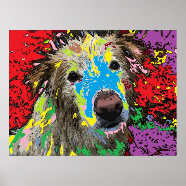 Póster Un perro callejero (Frente)