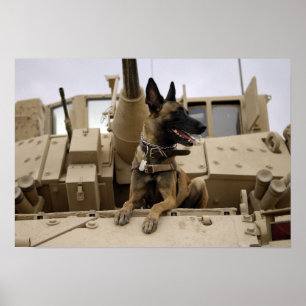 Póster Un perro de trabajo militar se sienta en un M2A3