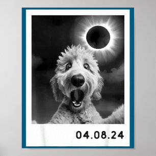 Póster Un perro Goldendoodle de totalidad de eclipse sola