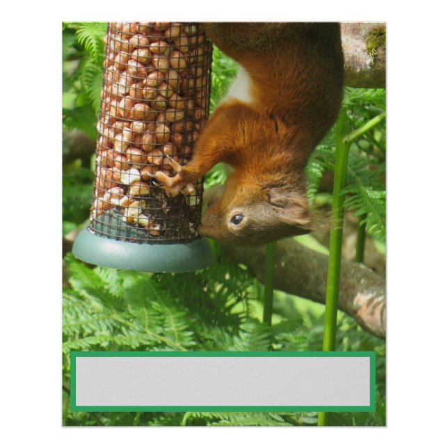 Póster ¡Un poco de nueces! Ardilla al revés. (Anverso)