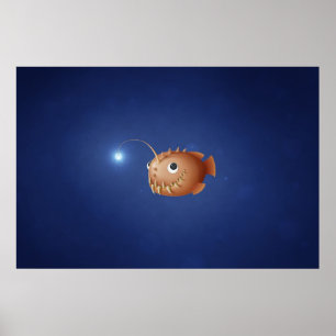 Póster Un poco de pez anguloso