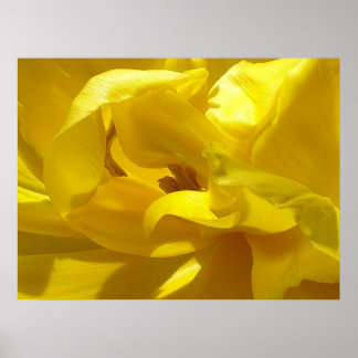 Póster Un poco de pipí