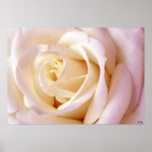 Póster Un Poster De Amor, S Cyr