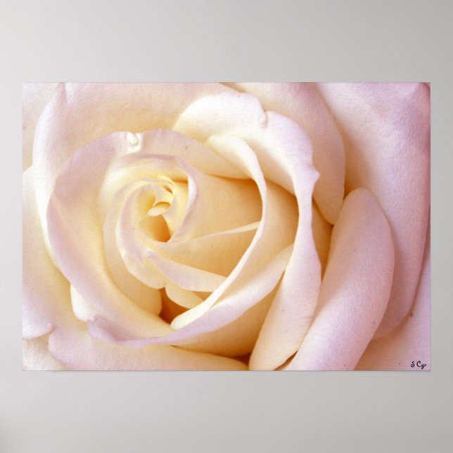 Póster Un Poster De Amor, S Cyr (Frente)