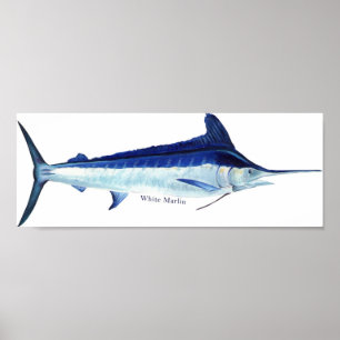 Póster Un poster de la aguja blanca