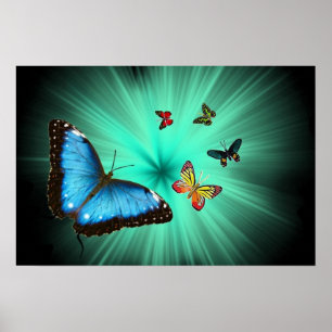 Póster Un poster del viaje de Butterflys