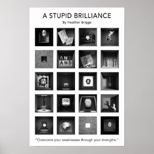 Póster Un poster estúpido 13x19 de la brillantez