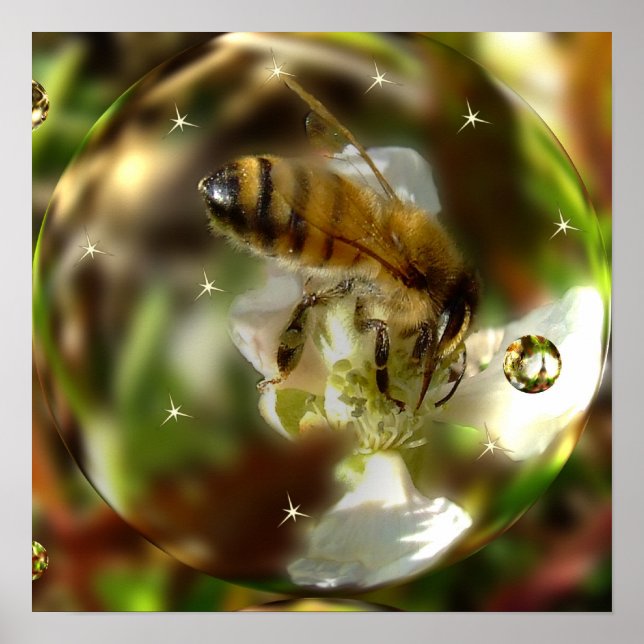 Póster Un Poster mundial de abejas (Frente)