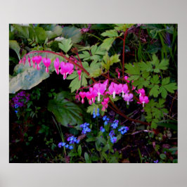 Póster Un Poster romántico de las flores