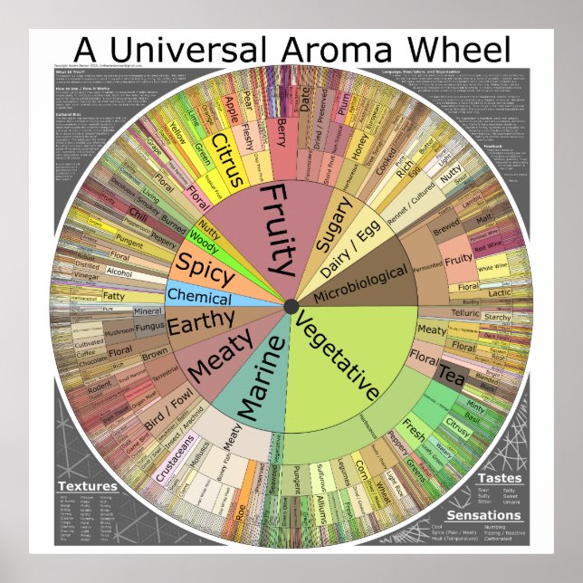 Póster Un Poster universal de la rueda de Aroma (Frente)