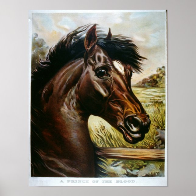 Póster Un príncipe de la sangre (Frente)