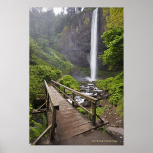 Póster Un Puente Sobre El Río Columbia Y Las Cataratas De