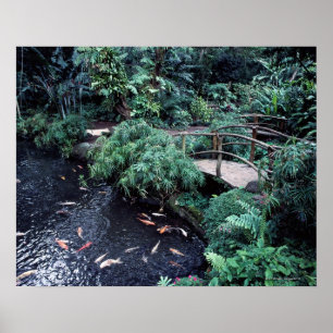 Póster Un puente sobre una charca del goldfish rodeada