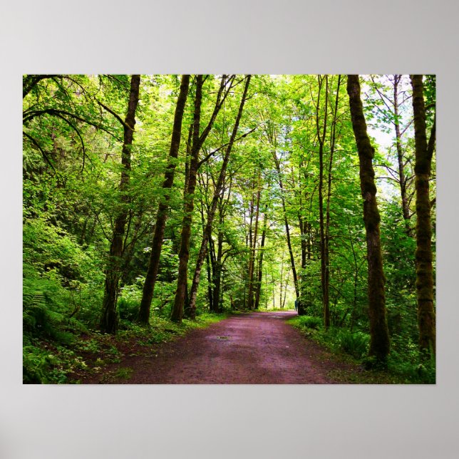 Póster Un rastro en el bosque (Frente)